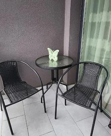 Butterfly Timişoara