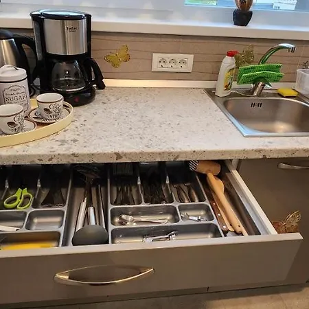 Apartament Butterfly Timişoara