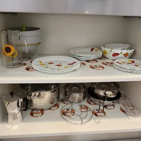 Lägenhet Butterfly Timişoara