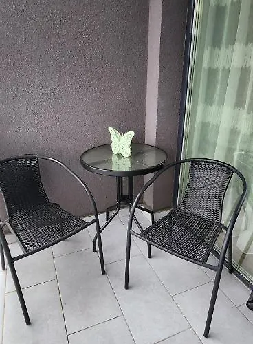 Butterfly Timişoara