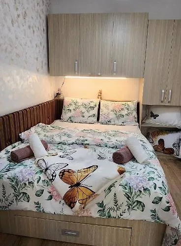 Butterfly Apartamento Timişoara