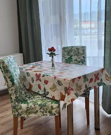 Apartment Butterfly Timisoara