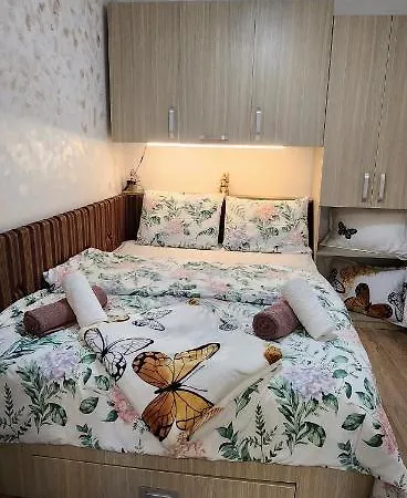 Butterfly Apartmán Temešvár