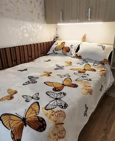 Butterfly *