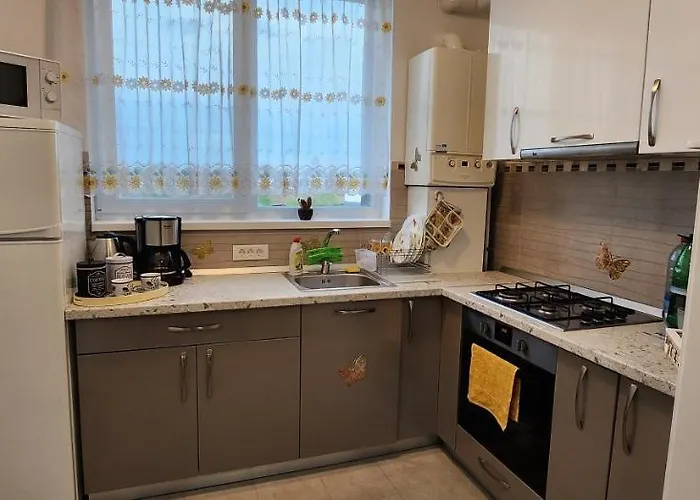 Butterfly * Timişoara